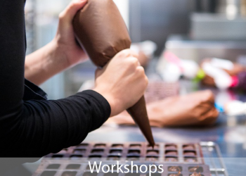 workshop workshop